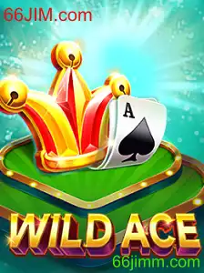 Explorando o Fascinante Mundo de WildAce